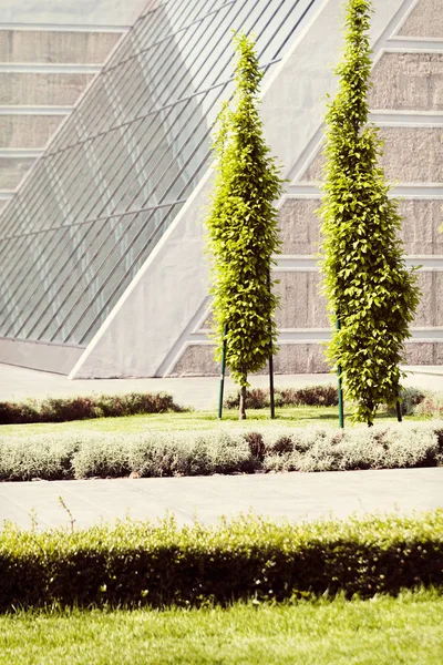 Binanın etrafındaki parkın peyzajı, sığ alan derinliğine dikkat edin