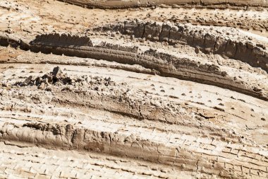 Kumda lastik izleri, alanın derinliğine dikkat edin.