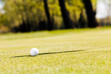 Yeşil çimlerin üzerindeki golf topu, alanın derinliğine dikkat edin.