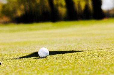 Yeşil çimlerin üzerindeki golf topu, alanın derinliğine dikkat edin.