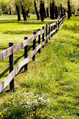 Tahtadaki tahtalardan çitler, sığ alan derinliğine dikkat edin.