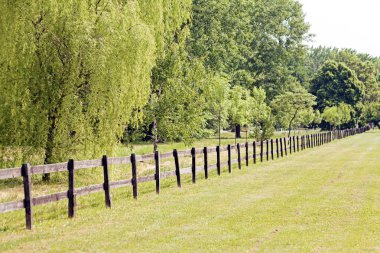 Parktaki ahşap kalaslardan çitler, sığ alan derinliğine dikkat edin.