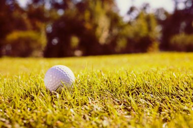 White golf ball on the grass close up, note shallow depth of field