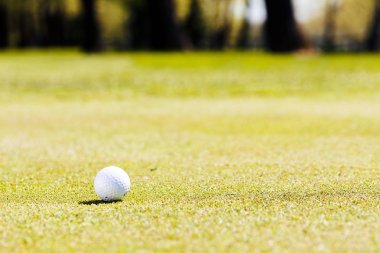 Çimenli bir alanda beyaz golf topu, dikkat edin sığ alan derinliği