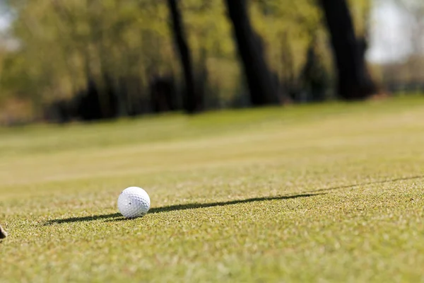 Bola Golfe Grama Verde Observe Profundidade Rasa Campo — Fotografia de Stock