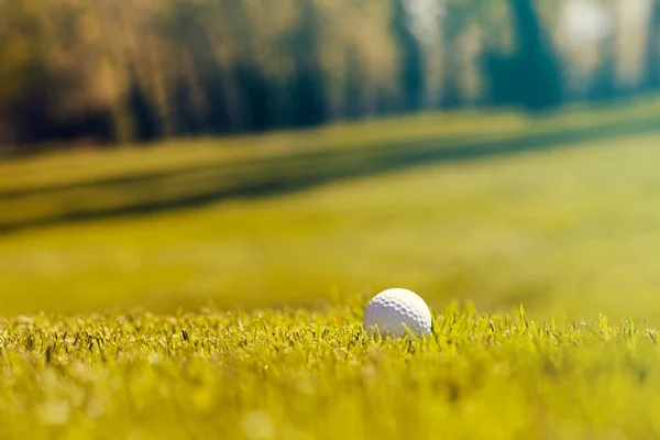 Golfboll Det Gröna Gräset Notera Grunt Skärpedjup — Stockfoto