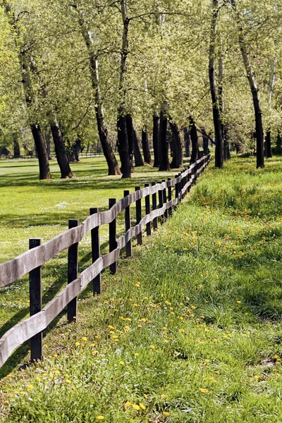 Tahtadaki tahtalardan çitler, sığ alan derinliğine dikkat edin.
