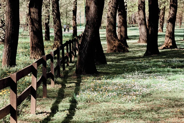 Забор Деревянных Досок Дереве Обратите Внимание Небольшую Глубину Резкости — стоковое фото