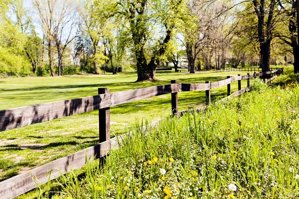 Tahtadaki tahtalardan çitler, sığ alan derinliğine dikkat edin.