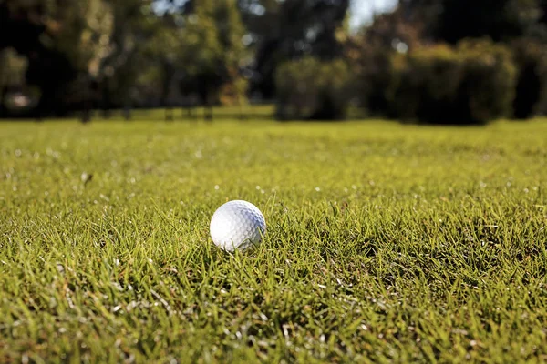 Weißer Golfball Auf Dem Rasen Aus Nächster Nähe Beachten Sie — Stockfoto