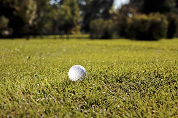 Biała Piłka Golfowa Trawie Zbliżenie Zanotować Płytkiej Głębokości Pola — Zdjęcie stockowe