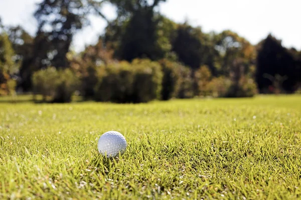 Balle Golf Blanche Sur Herbe Gros Plan Note Faible Profondeur — Photo