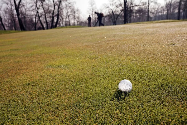 Bola Golfe Branco Campo Gramado Observe Profundidade Rasa Campo — Fotografia de Stock
