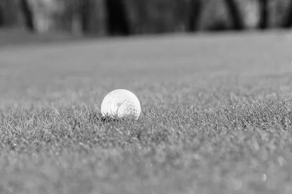 Golfboll Det Gröna Gräset Notera Grunt Skärpedjup — Stockfoto