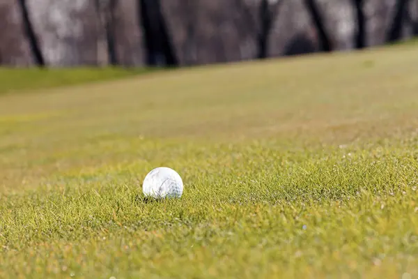 Balle Golf Sur Herbe Verte Note Faible Profondeur Champ — Photo