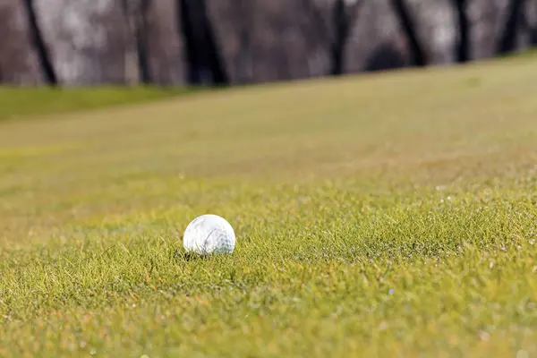 Yeşil Çimlerin Üzerindeki Golf Topu Alanın Derinliğine Dikkat Edin — Stok fotoğraf