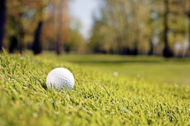 White golf ball on the grass close up, note shallow depth of field