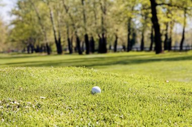 Çimenli bir alanda beyaz golf topu, dikkat edin sığ alan derinliği