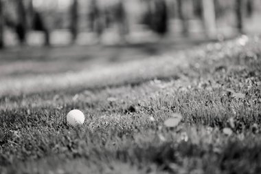 White golf ball on the grass close up, note shallow depth of field