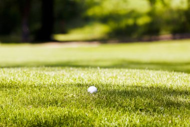 Çimenli bir alanda beyaz golf topu, dikkat edin sığ alan derinliği