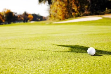 Çimenli bir alanda beyaz golf topu, dikkat edin sığ alan derinliği