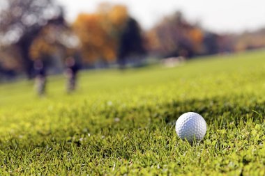 Yeşil çimlerin üzerindeki golf topu, alanın derinliğine dikkat edin.