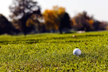 Yeşil çimlerin üzerindeki golf topu, alanın derinliğine dikkat edin.