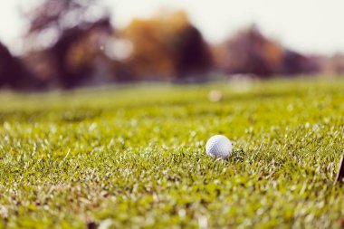 Yeşil çimlerin üzerindeki golf topu, alanın derinliğine dikkat edin.