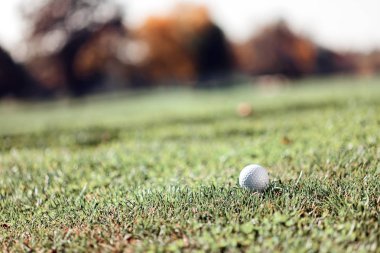 Yeşil çimlerin üzerindeki golf topu, alanın derinliğine dikkat edin.
