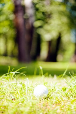 Yeşil çimlerin üzerindeki golf topu, alanın derinliğine dikkat edin.