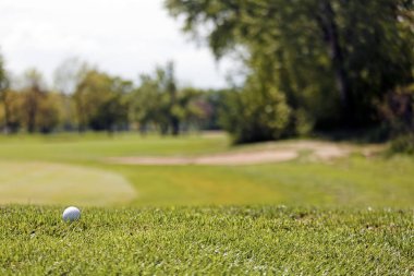 Yeşil çimlerin üzerindeki golf topu, alanın derinliğine dikkat edin.