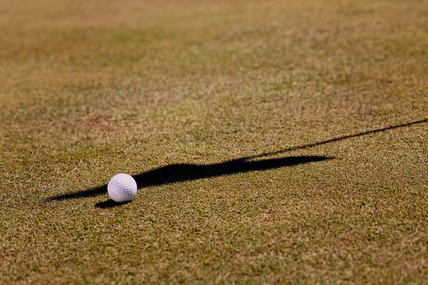 White Golf Ball Grassy Field Note Shallow Depth Field — Φωτογραφία Αρχείου