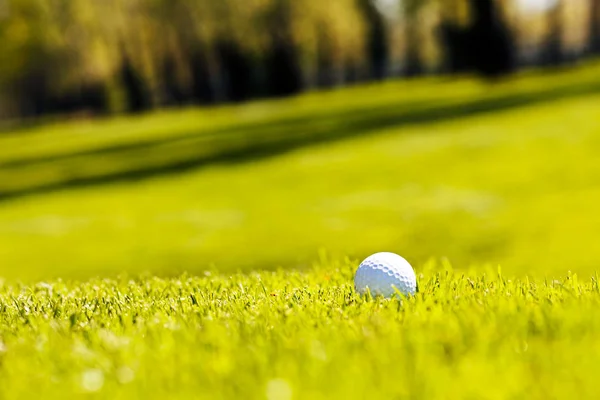 草地上的白色高尔夫球近在咫尺 注意浅浅的球场深度 — 图库照片