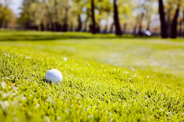 Biała Piłka Golfowa Trawie Zbliżenie Zanotować Płytkiej Głębokości Pola — Zdjęcie stockowe