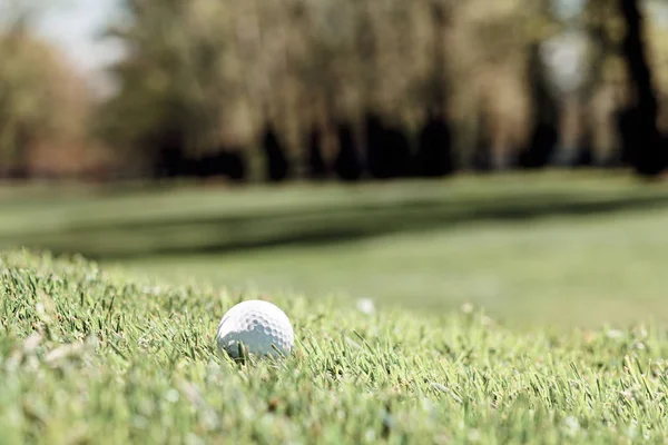 Çimenli Bir Alanda Beyaz Golf Topu Dikkat Edin Sığ Alan — Stok fotoğraf