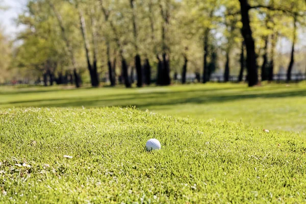 Biała Piłka Golfowa Trawiastym Polu Zanotować Płytkiej Głębokości Pola — Zdjęcie stockowe