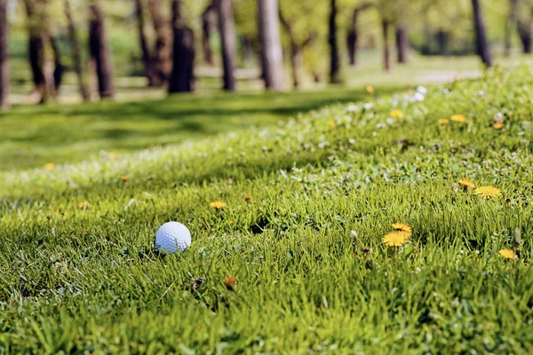 White Golf Ball Grass Close Note Shallow Depth Field — 스톡 사진