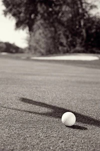 Weißer Golfball Auf Einer Rasenfläche Beachten Sie Die Geringe Schärfentiefe — Stockfoto