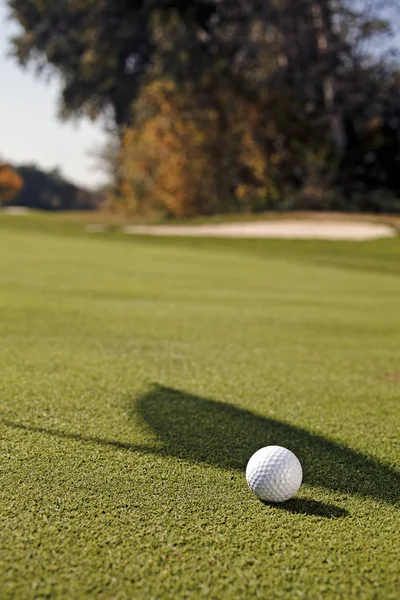 Biała Piłka Golfowa Trawiastym Polu Zanotować Płytkiej Głębokości Pola — Zdjęcie stockowe