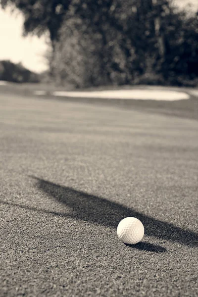 White Golf Ball Grassy Field Note Shallow Depth Field — ストック写真