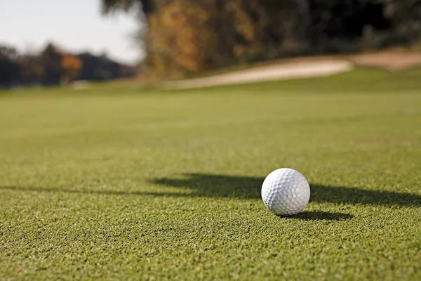 Çimenli Bir Alanda Beyaz Golf Topu Dikkat Edin Sığ Alan — Stok fotoğraf