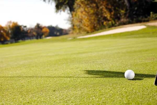 Bílý Golfový Míček Travnatém Poli Poznámka Mělká Hloubka Pole — Stock fotografie