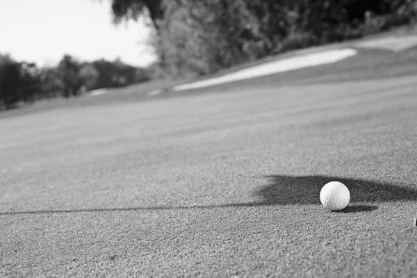 Balle Golf Blanche Sur Terrain Herbeux Note Faible Profondeur Champ — Photo