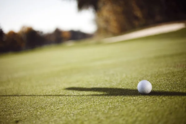 White Golf Ball Grassy Field Note Shallow Depth Field — Stockfoto