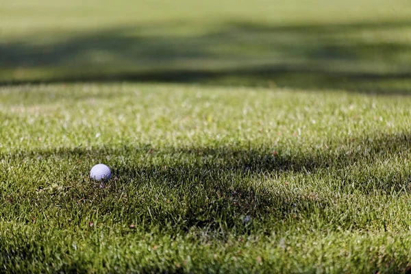 Bola Golfe Branco Campo Gramado Observe Profundidade Rasa Campo — Fotografia de Stock