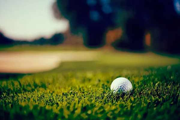 Bola Golfe Branco Campo Gramado Observe Profundidade Rasa Campo — Fotografia de Stock