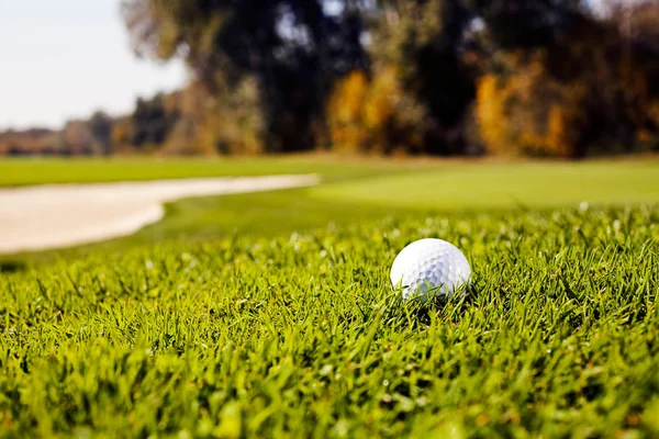 Bola Golfe Branco Campo Gramado Observe Profundidade Rasa Campo — Fotografia de Stock