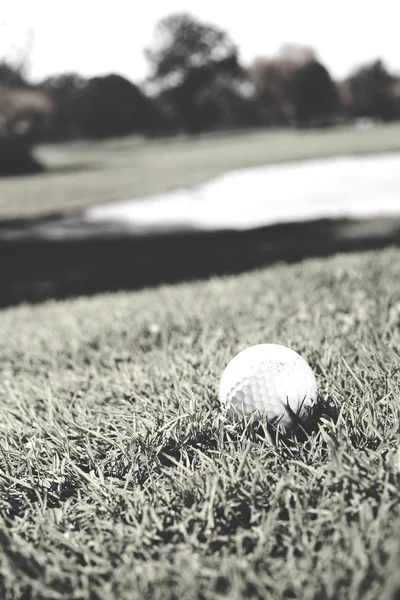 Witte Golfbal Een Grasveld Ondiepe Scherptediepte Opmerken — Stockfoto