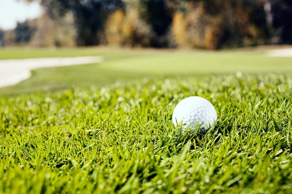 White Golf Ball Grassy Field Note Shallow Depth Field — ストック写真