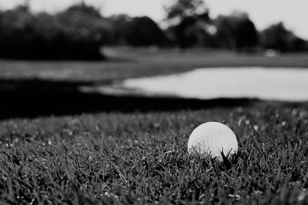 Çimenli Bir Alanda Beyaz Golf Topu Dikkat Edin Sığ Alan — Stok fotoğraf
